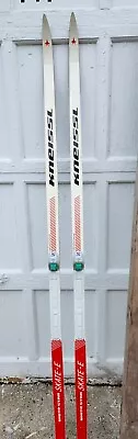 KNEISSL  White Star Skate Cross Country Skis W/ Solomon Skate Bindings • $85