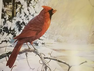Mario Fernandez   Winter Song   339/980 Rare 1989 Red Cardinal • $89