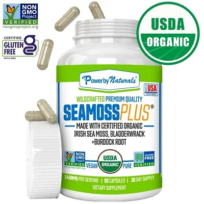 Certified Organic Sea Moss Bladderwrack Burdock Root Capsules | 60 SeaMoss Pills • $23.45