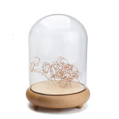 £8.95 • Buy Large Glass Display Dome Lights Flower Decorative Cloche Bell Jar W/Wooden Base