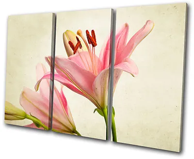 Floral Lily Flowers TREBLE CANVAS WALL ART Picture Print VA • £34.99
