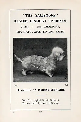 £4.99 • Buy Dandie Dinmont Terrier Old Vintage 1934 Named Dog Print Page  Salismore Kennels 