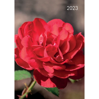 $16.95 • Buy Roses - 2023 A5 Padded Cover Diary Premium Planner Book Christmas New Year Gift