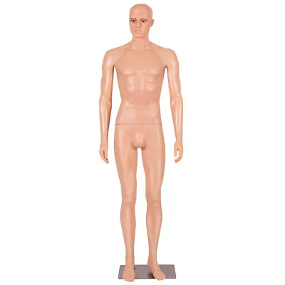 Costway 6FT Man Male Mannequin Make-up Manikin Stand Plastic Full Body Realistic • $124.49