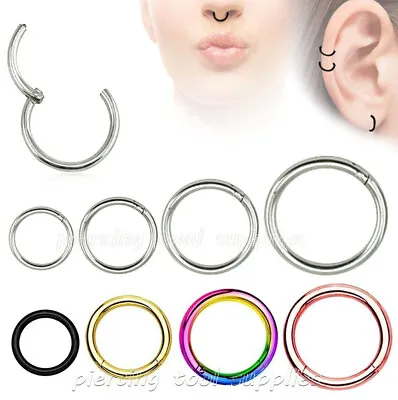 Hinged Seamless Segment Ring Surgical Steel Nose Hoop Earring Labret Septum Ring • $3.80