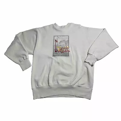Vintage Disney Boardwalk Sweatshirt Adult Size Large Embroidered USA Made Read • $14.99