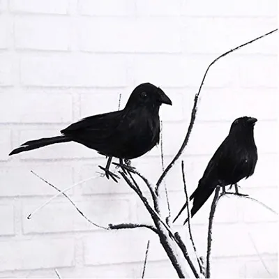 Halloween Black Crow Props Realistic Raven Spooky Feathered Crows House Dec Y DS • £4.93