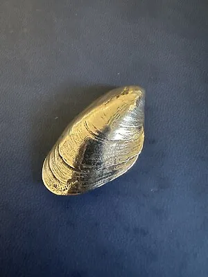 RARE DISCONTINUED Mignon Faget SOLID 14k GOLD Mussel Shell Pendant • $1700