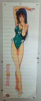 MACROSS 15th Anniversary LYNN MINMAY Lifesize Poster 67 X24  ARII Plastic Model • $65