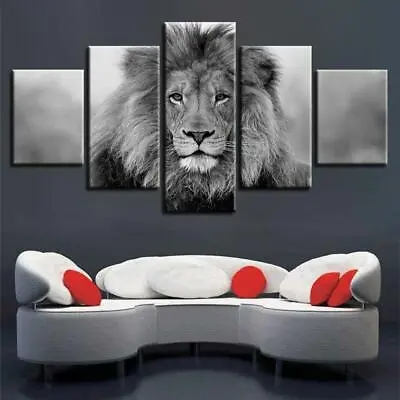 Black & White Lion Framed 5 Piece Canvas Wall Art • $189