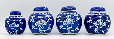 Chinese Blue White Group Of Prunus Ginger Jars Lids Kangxi Double Marked 20th C. • £10