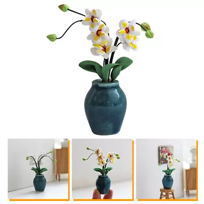 Magnolia Potted Plant Mini Decors Small Bonsai Model • £8.82