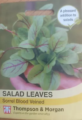 £1.89 • Buy Thompson And Morgan Salad Leaves Sorrel Blood Veined Approx 250 Seeds