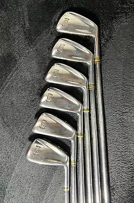 Walter Hagen Haig-Ultra Iron 234568 Regular Flex Steel Shaft RH Golf Clubs • $69.95