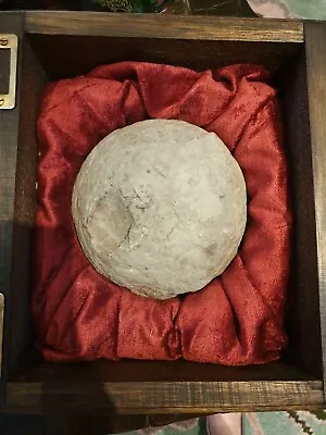 £1200 • Buy Authentic Dinosaur Egg Bought From Fortnum And Mason 35 Years Ago