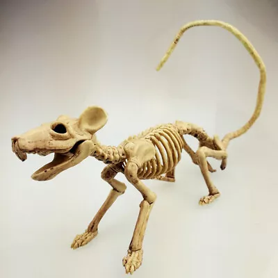 Animal Skeleton Decorations Cat Bat Realistic Bones Scary Halloween Party Props • £7.19