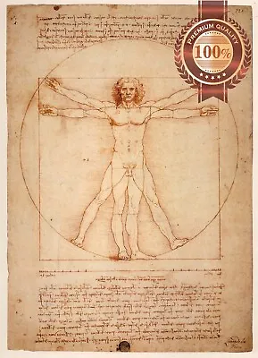 Original Vitruvian Man Leonardo Da Vinci Wall Art Print Premium Poster • $70.74