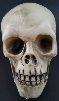 Halloween Human Skulls Plastic 4.5”H X 4”W X 6.5”D • $3.99