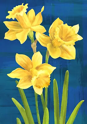 Toland Daffodils On Blue 28x40 Floral Spring Flower House Flag • $15.98