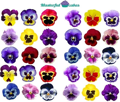 30 X Pansy Flowers Edible Ricewafer Icing & Precut Wafer Toppers • £4.25