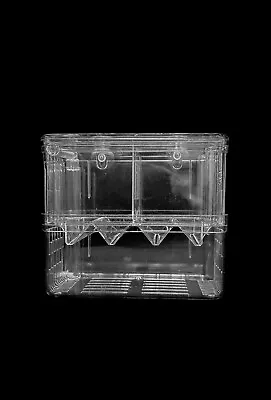 Aquarium Fish Tank Breeding Breeder Rearing Box Hatchery Isolation Case Large • $11.99