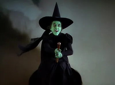 Wizard Of Oz Margaret Hamilton Wicked Witch Of The West  11x14 Photo • $12.99