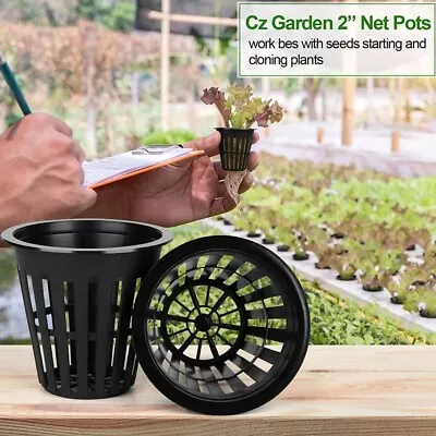 25-100PCS Hydro Plant Grow Net Cup 50mm Mesh Mesh Pot Basket Aeroponic Aquaponic • £6.99