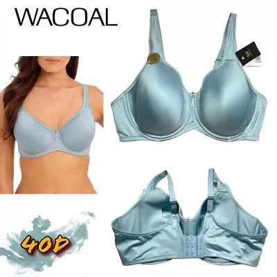NWT Wacoal Women’s 40D Basic Beauty Underwire T-Shirt Bra 853192 Arona Blue • $34.19