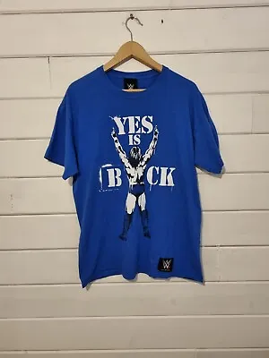 WWE AUTHENTIC Daniel Bryan 'Yes Is Back' T-Shirt Adult Size LARGE Blue WWF RARE! • £10