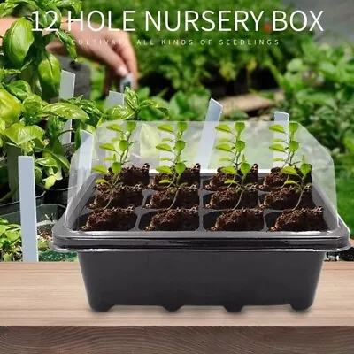 12Hole Seedling Trays Seed Starter Plant Growing Box Nursery Plant Pot Gardening • $5.99