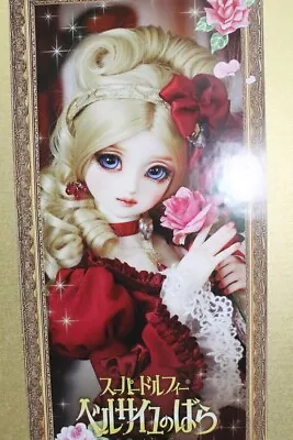 VOLKS Super Dollfie Graffiti SDGr GIRL Marie Antoinette The Rose Of Versailles • $2106