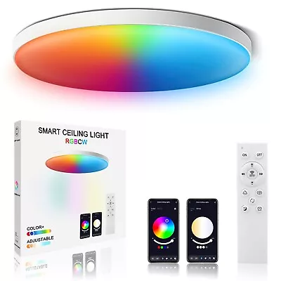 10inch 50W Smart LED Ceiling Light RGB 6500K Dimmable Color Changing Flush Moun • $25.95