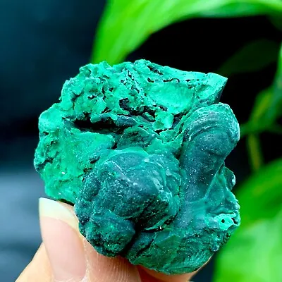 44g Natural Glossy Malachite Cat Eye Transparent Cluster Rough Mineral Sample • $2.61