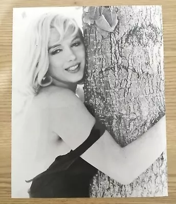 Marilyn Monroe Misfits Black & White Photo Publicity Print 10  X 8  • £9.99