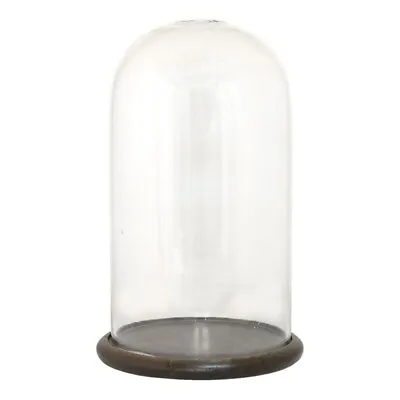 £29.99 • Buy Glass Display Cloche Bell Jar Dome Flower Preservation Vase Wooden Base 29cm