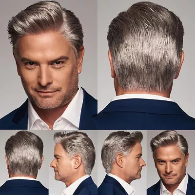 Man Gray Short Hair Synthetic Wig Young Natural Party Cosplay Hairstyle Toupee • $14.98