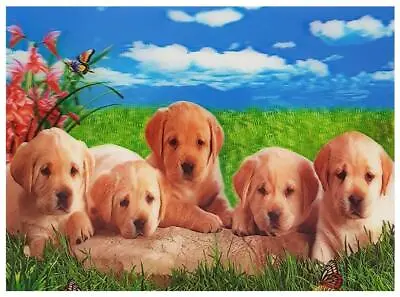 Labrador Dogs Puppies 3D Lenticular Holographic Moving Poster Print Picture A16 • $13.99