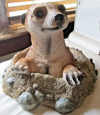 Design Toscano  Meerkat Out Of Hole  Resin Home/garden Ornament 9  X 6 1/2  New • £25.55