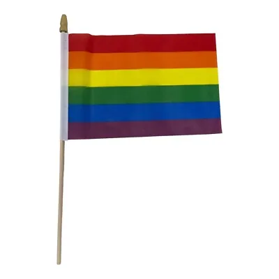 RAINBOW Gay Pride Mini Stick Flags LGBT LGBTQ+ Small Hand Held Party Parade Flag • $5.99