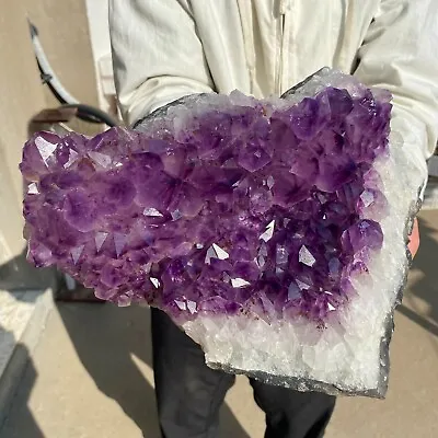 16.6lb Large Natural Amethyst Geode Quartz Cluster Crystal Specimen Healing • $5.50