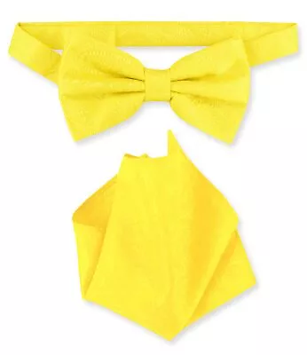 Vesuvio Napoli BowTie Yellow Paisley Color Mens Bow Tie And Handkerchief • $12.95