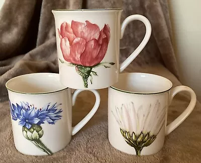 FLAW 3 Villeroy & Boch Flora House & Garden Collection Coffee Mug Teacups • $39.99