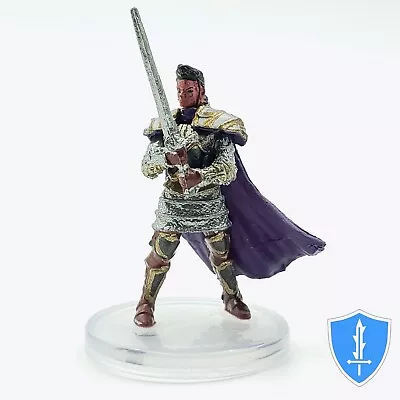 Human Paladin Of The Oath Of Vengeance - Waterdeep Dungeon Mad Mage #23 D&D Mini • $1.89