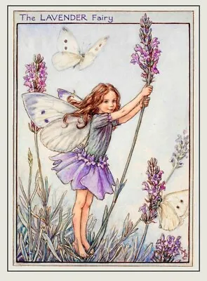 Flower Fairies Vintage Image 20 Note Cards The Lavender Fairy A6 Folded Blank • £6.50