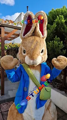 Hire Peter Rabbit Mascot Lookalike Costume Mascot Fancy Dress Delivery Within UK • £70