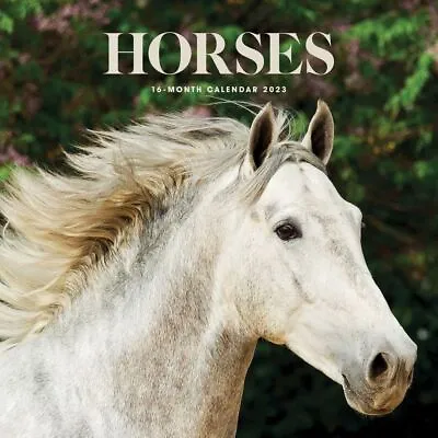 $15.99 • Buy Carousel Calendars,  Horses 2023 Wall Calendar