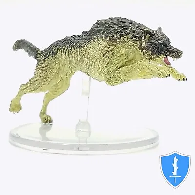 Dire Wolf - Waterdeep Dragon Heist #31 D&D Miniature • $5.39