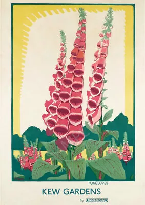 Vintage Poster Kew Gardens Foxgloves London Tube Underground Advertisement A4 A3 • £5.99