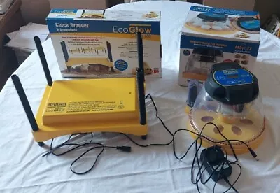 £90 • Buy Brinsea Mini II Advance Auto Eco Egg Incubator + Brinsea EcoGlow Chick Brooder