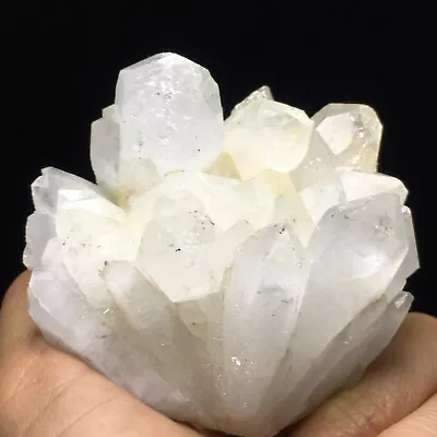 244g Museum Quality Transparent White Quartz Crystal Cluster Mineral Specimen • $0.01